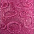 25-purple.jpg